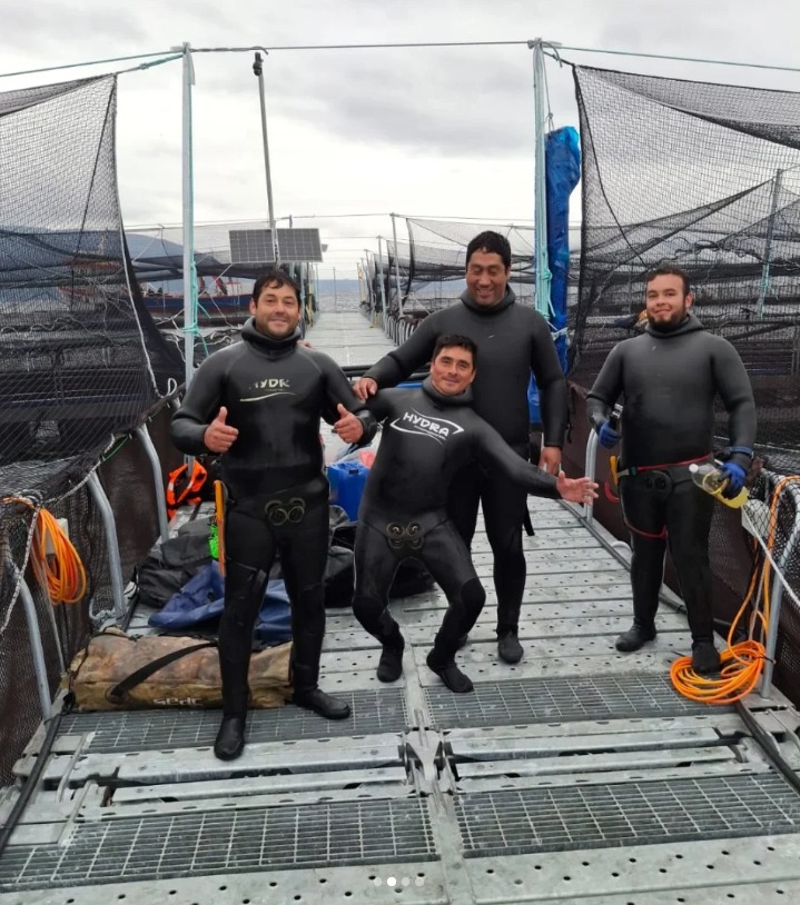 Equipo Neptuno Fish Spa - imagen referencial