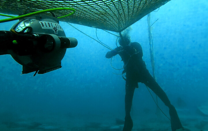 Proyecto 1 - imagen referencial