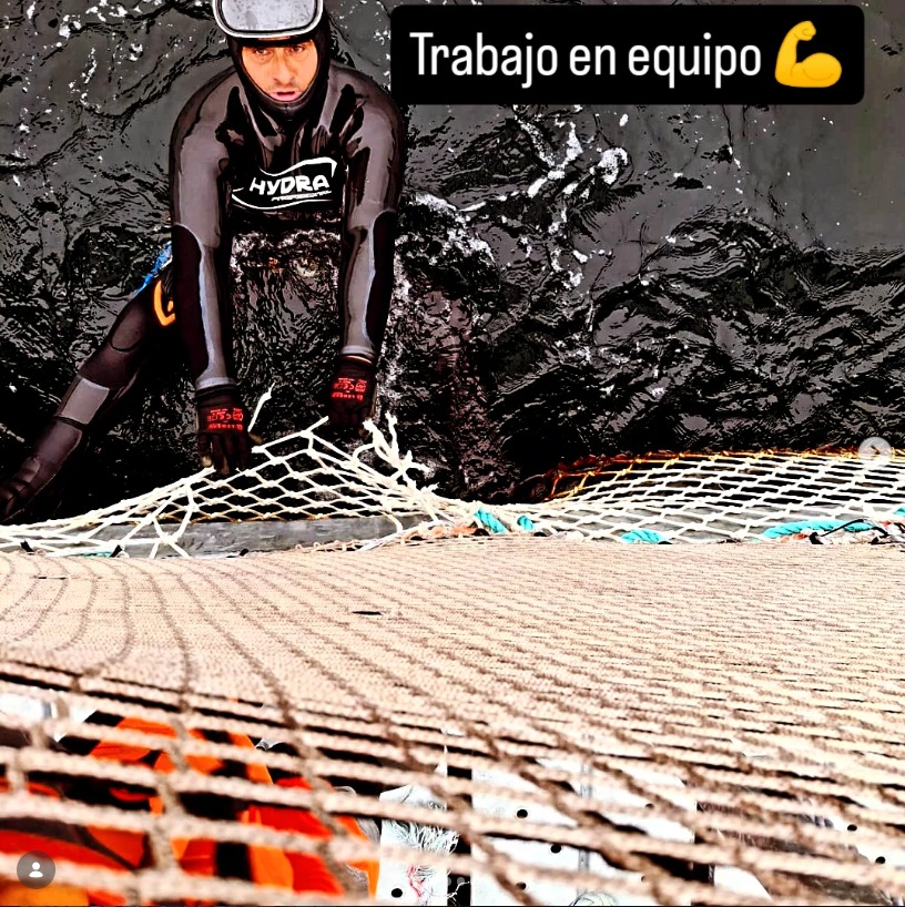 Proyecto 2 - imagen referencial