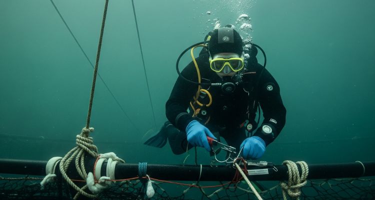 Proyecto 3 - imagen referencial